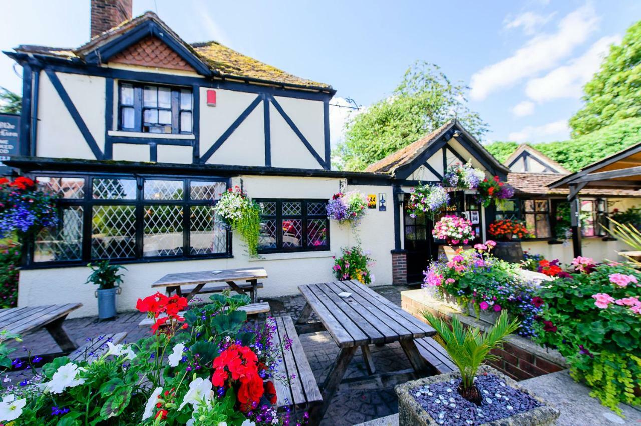 Ye Olde Red Lion Bed & Breakfast Newbury  Eksteriør bilde